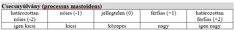 Csecsnyúlvány nmei különbségei