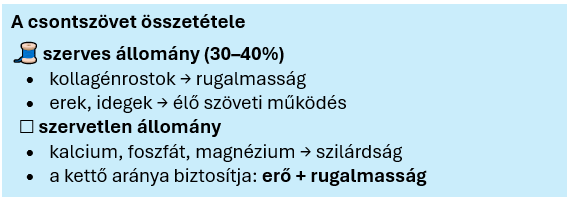 Csontok egészsége - bevezető 2