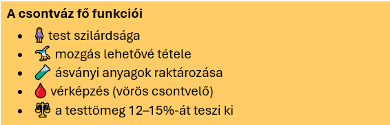 Csontok egészsége - bevezető 3