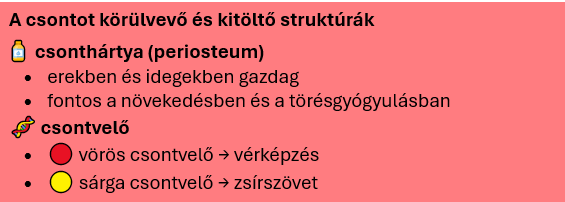 Csontok egészsége - bevezető 5