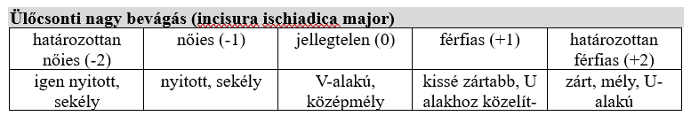 Incisura ischiadica major nemi különbségei