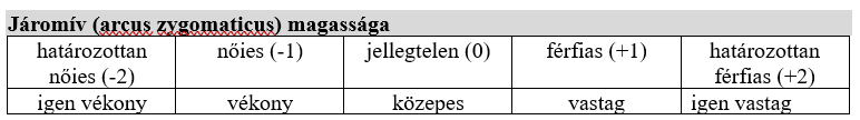 Járomív nemi különbségei