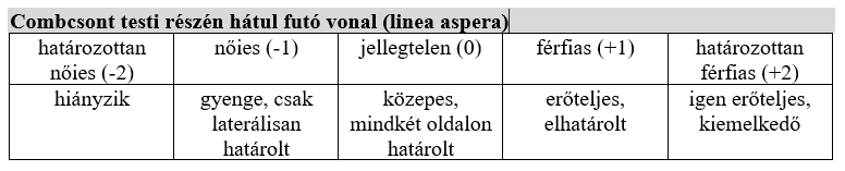 Linea aspera nemi különbségei
