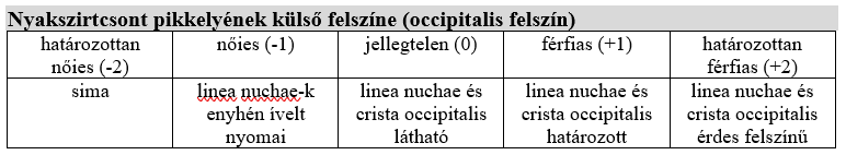 Nyakszirt külső felszínének nemi különbségei
